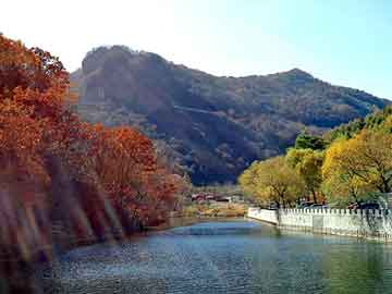 情头高冷动漫，背景、影响、特定时代地位全解析