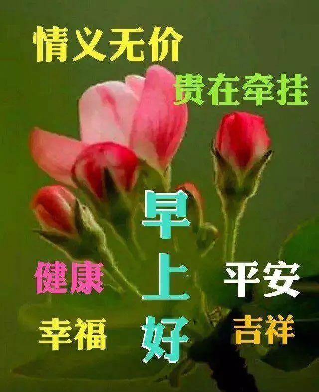 最新早晨问候语送上温暖祝福🌞