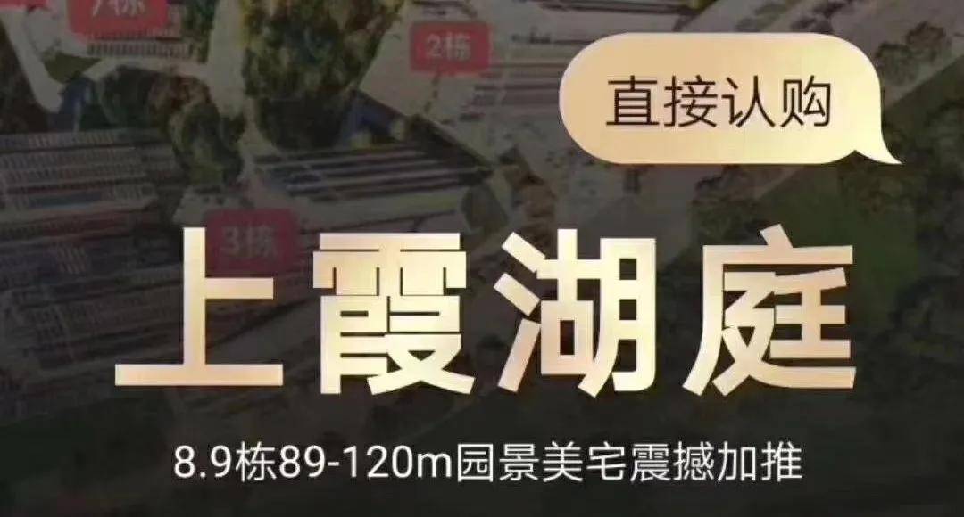 惠州最新通缉令详解，步骤指南与通缉令解读