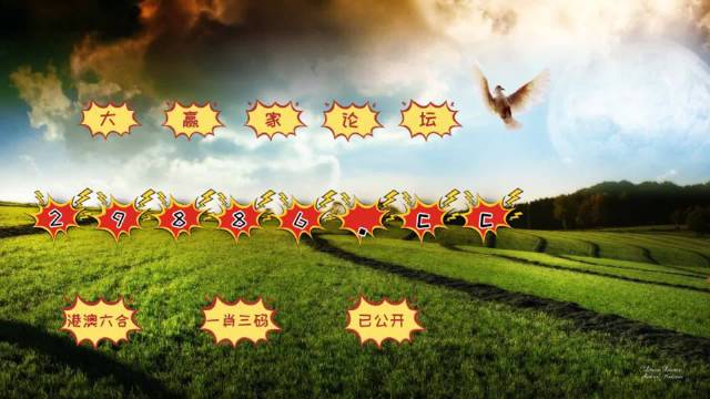 今晚澳门开奖结果开奖记录表65,实地验证实施_无线版16.432