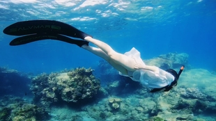 探索自然美景的潜水之旅，最新潜水视频带你寻找内心平静