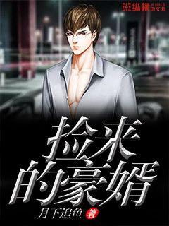豪婿 最新