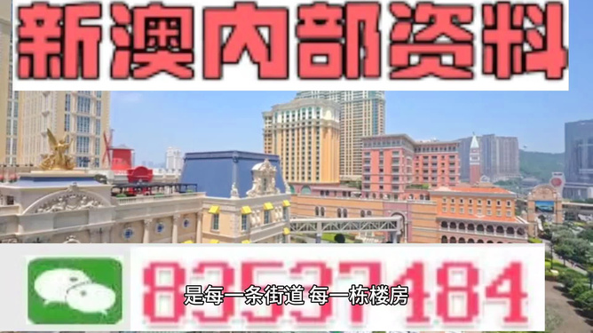 新澳新澳门正版资料,平衡执行计划实施_轻奢版20.189