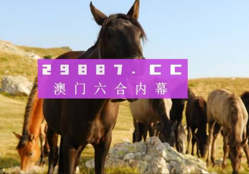 澳门管家婆正版资料免费公开,专业解读操行解决_精致生活版81.256