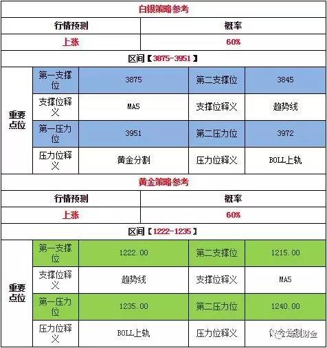 2024新澳门天天开好彩,即时解答解析分析_定向版31.320