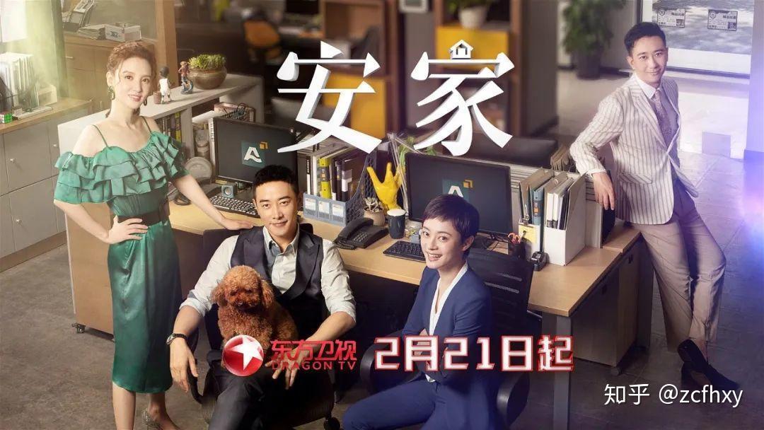 安家热播剧集精彩回顾，深度解析与评析