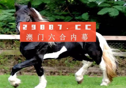 澳门今晚必开一肖一特,现代化解析定义_世界版46.773