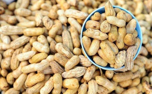 花生米最新价格及小巷美食探索揭秘