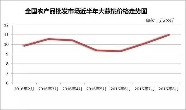 2025大蒜最新价格