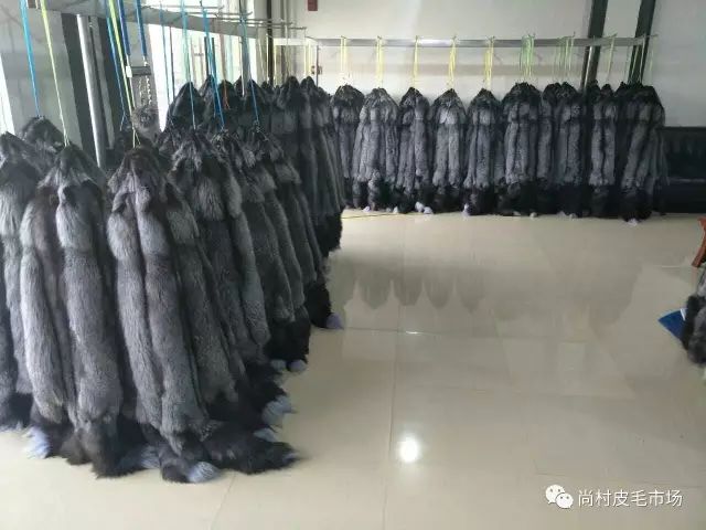河北尚村狐皮最新价格揭秘，小巷中的珍稀皮革宝藏
