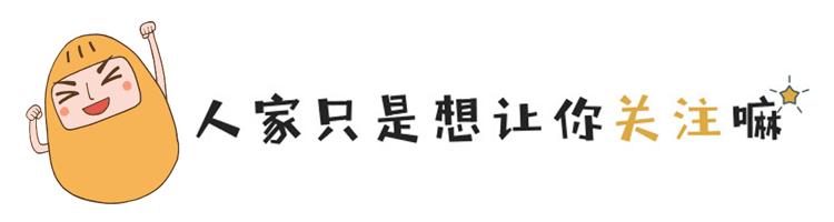 最新末世女主完结文深度探讨