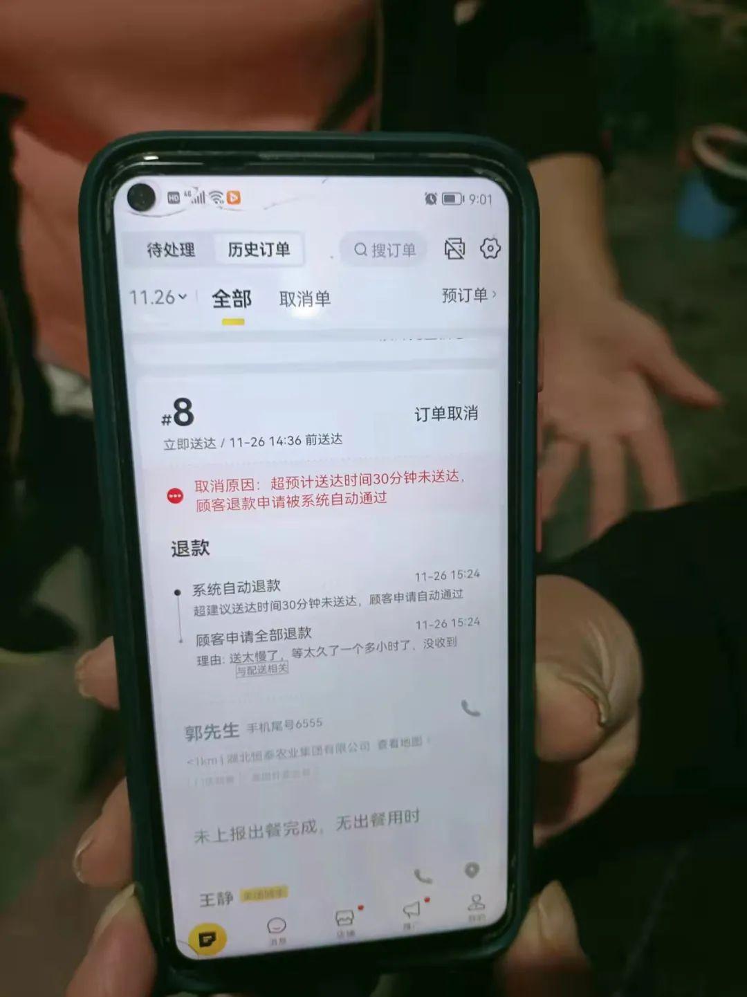 监利县最新新闻，拥抱自然，内心宁静之旅启程