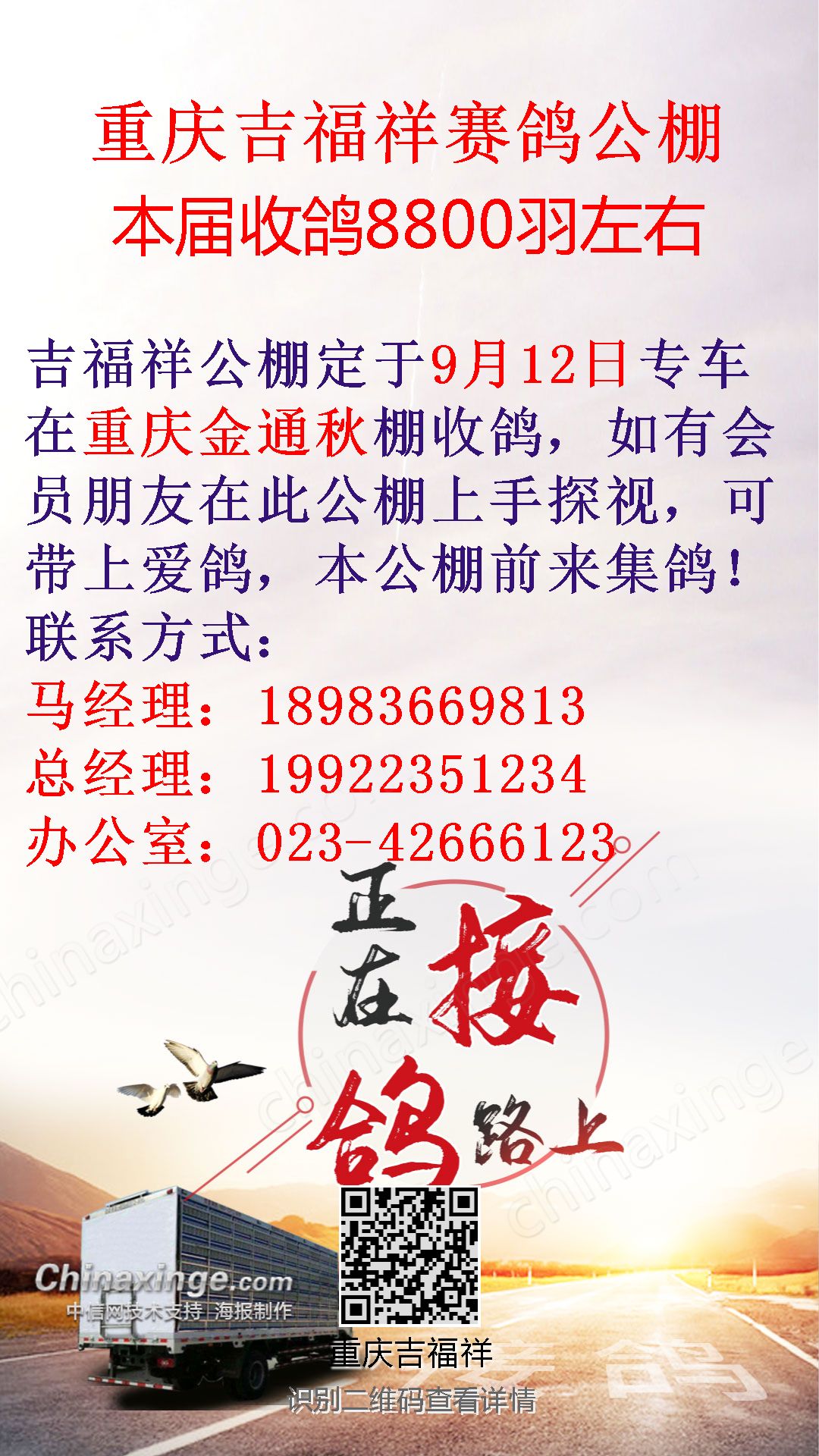 重庆信鸽公棚最新公告发布
