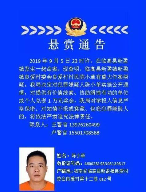 临高最新命案凶手相片