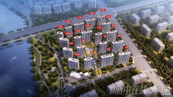 君兰江山最新价格动态，学习变化，自信成就梦想之路