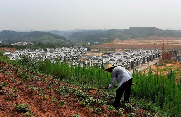 农村土地最新政策下的田园生活与趣事探索